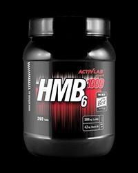 HMB6 1000 pro diety