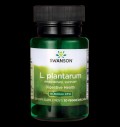 Lactobacillus Plantarum / L Plantarum за хранителни режими