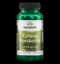 Coleus Forskohlii / Forskolin 400 mg за хранителни режими
