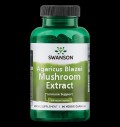 Agaricus Blazei Mushroom Extract 500 mg за хранителни режими