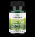 Full Spectrum Buchu Leaf 4:1 Extract 100 mg за хранителни режими