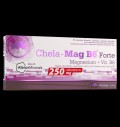 Chela - Mag B6 Forte за хранителни режими