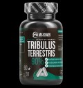 Tribulus Terrestris 90% за хранителни режими