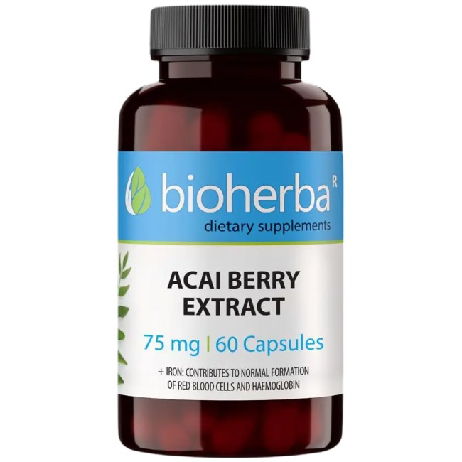 Bioherba Acai Berry Extract 75 mg