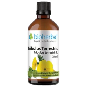Tincture Tribulus Terrestris за хранителни режими
