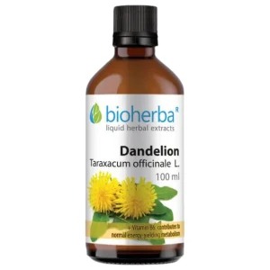 Tincture Dandelion Root за хранителни режими