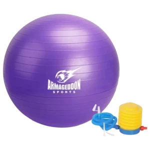 Gymnastic Ball With a Pump 65 cm / Gimnastička Lopta s Pumpom 65 cm pro diety