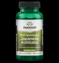 Full Spectrum Japanese Ashitaba 500 mg за хранителни режими