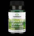 Ecklonia Cava Extract 53 mg за хранителни режими