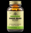 Ginkgo Biloba Leaf Extract за хранителни режими