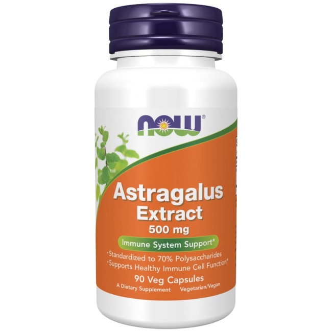 NOW Foods Astragalus Extract 500 mg