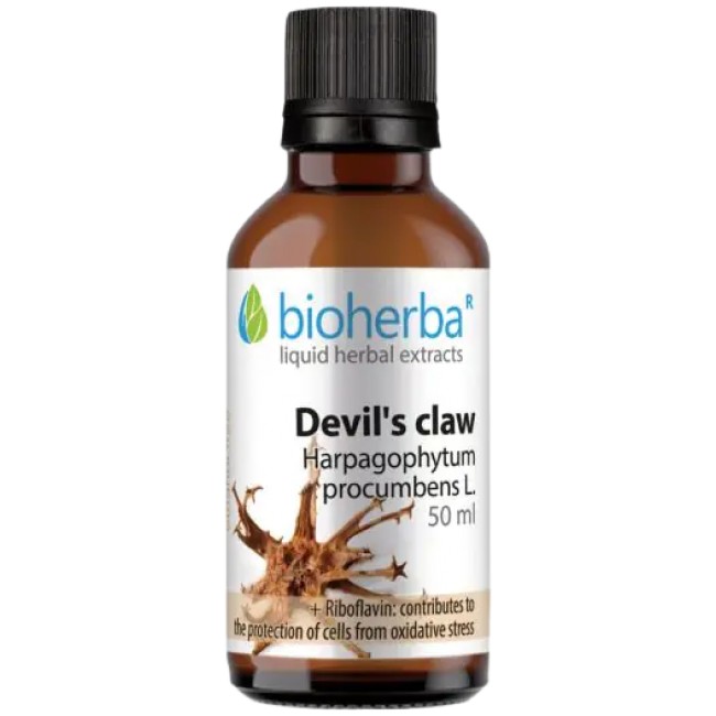Bioherba Devil's Claw Tincture