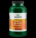 Balance B-100 Complex - High Potency за хранителни режими