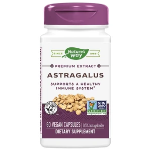 Astragalus 500 mg | Premium Extract за хранителни режими