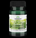 Black Ginger Extract 100 mg за хранителни режими