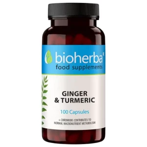 Ginger and Turmeric за хранителни режими