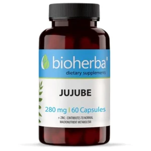 Jujube Fruit 280 mg за хранителни режими