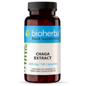 Full Spectrum Chaga Mushroom за хранителни режими