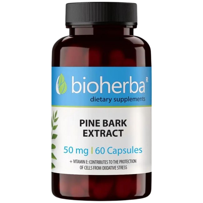Bioherba Pine Bark Extract 50 mg