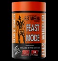 Feast Mode | with Ginger, Fennel & Enzymes за хранителни режими