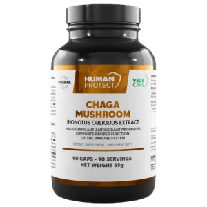 Chaga Mushroom 600 mg за хранителни режими