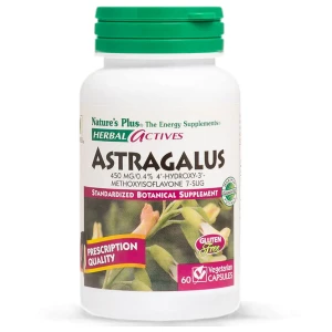 Astragalus 450 mg | Herbal Actives pro diety