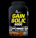 Gain Bolic 6000 за хранителни режими