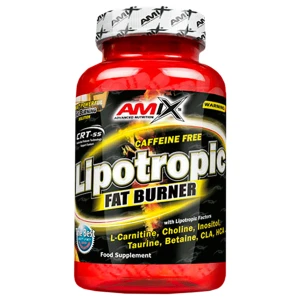 Lipotropic Fat Burner за хранителни режими