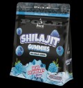 Shilajit Gummies 600 mg за хранителни режими