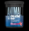 Animal Creatine HMB+ Powder за хранителни режими