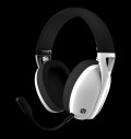 CANYON headset EGO GH-13 White за хранителни режими