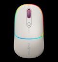 CANYON mouse MW-22 2in1 BT/ Wireless Rice за хранителни режими