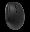CANYON mouse MW-25 Ergonomic LED AA Dual mode Wireless Black за хранителни режими