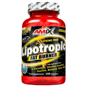 Lipotropic Fat Burner за хранителни режими